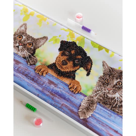 Diamond Dotz® Intermediate Level Hang in There Diamond Painting Kit